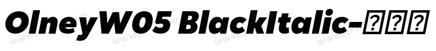 OlneyW05 BlackItalic字体转换